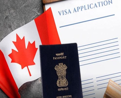 Passport and application documents prepared for international use